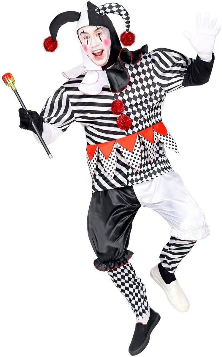 Clown & Nar Kostuum | Paljas Van Het Hof Harlekijn | Man | Large | Carnaval kostuum | Verkleedkleding